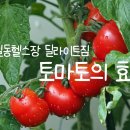 딜라이트짐 이미지