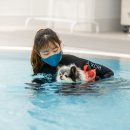 놀로동물행동클리닉 이미지