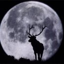 체르맛트2 이미지