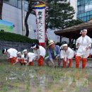 박정호농장(1농장) 이미지