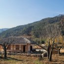 논실농장 이미지