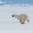 ROD Fitness 이미지