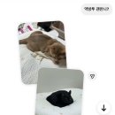 영진통닭 | 🚗=33333