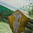 가-36 | 강릉 아기랑 가볼만한곳 경포 아쿠아리움 36개월미만 무료 대만족후기