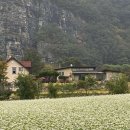 맹개마을 이미지