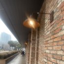 미라클버즈 네이버블로그