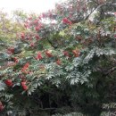 하늘연못 이미지