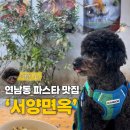 고려애견 | 서양면옥 연남 실내 애견동반 파스타 맛집 가격 이용 솔직 후기