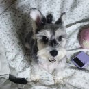 포석정식당 | 하남 애견동반 식당 남한산성 포석정 후기, 광주 성남 애견동반 식당