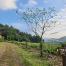 순천왜성 화장실 이미지