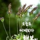 강서체육공원 이미지