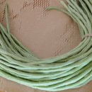 훈이네농장 이미지