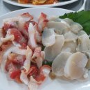 삼천포청정횟집