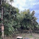 하도여관 이미지