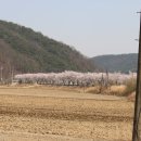 능암주유소 이미지