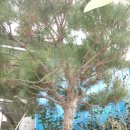 창고 옆 이미지