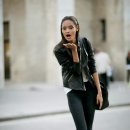 말라이카 이미지