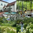 그린애견샵 | 강화 카페 그린홀리데이 | 수국 정원이 있는 유럽감성 카페·핸드드립 커피 맛집