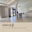 스테이소솜 이미지