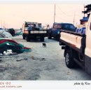 고양이는외계인 이미지