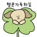 세종수선