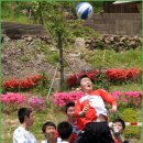 부산진중학교 이미지