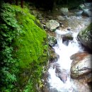 태양이용원 이미지