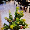 소담지짐이 위례점 이미지