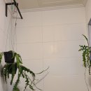 스테이(STAY)플랜트카페 이미지