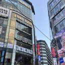 다나헤어살롱 | <준오헤어 명동스트리트점> 무조건 추천하는 ✨다나쌤✨ 커트+모발케어 솔직후기✂️명동미용실추천 을지로...