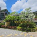 대신더샵경로당 이미지