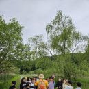 국가대표 시온태권도장 2관 | [#배곧태권도#배곧줄넘기]🌿 시화호 환경학교 갯벌 &amp; 자연숲 체험학습 후기