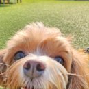 청평슬로우펜션 이미지