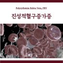 진성동물병원 이미지