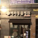 백마동물병원 이미지