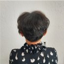 쑤니비어 | 내돈내산 후기 울산두피문신잘하는곳 추천 :: 헤드라인유