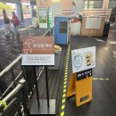 태현목장 | 강원도 홍천 여행 홍천 비발디파크 양떼목장 소노캄