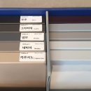 헤펠레스튜디오