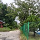 금산향교 티스토리