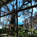 황토마당 이미지