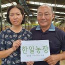 석천슈퍼