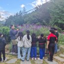 창녕농장 이미지