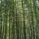 원격평생교육시설 이미지