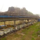 소망농장 이미지