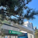 천안서여자중학교 | [토익] 2024년 01월 14일 506회 토익 후기 /기록용