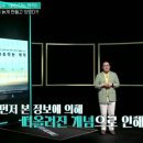 점화 효과(點火效果, priming effect) 이미지