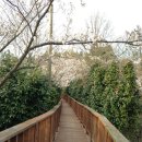 예양공원 이미지