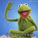 빠라빠라 이미지
