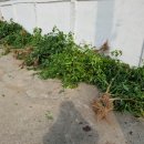 항우농장 이미지