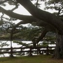 고내마을회관 이미지